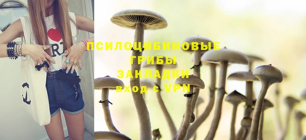 каннабис Арсеньев